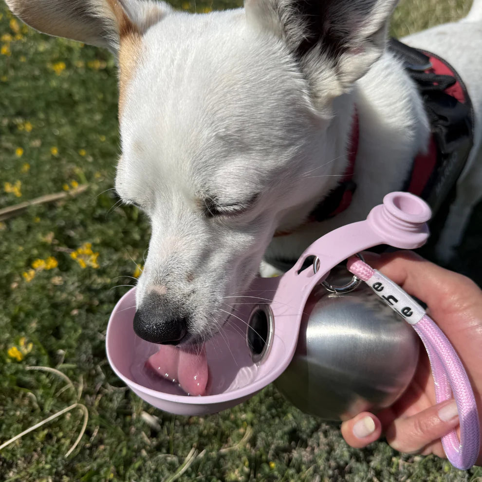BuddyPup™ Dog Water Bottle with Bowl